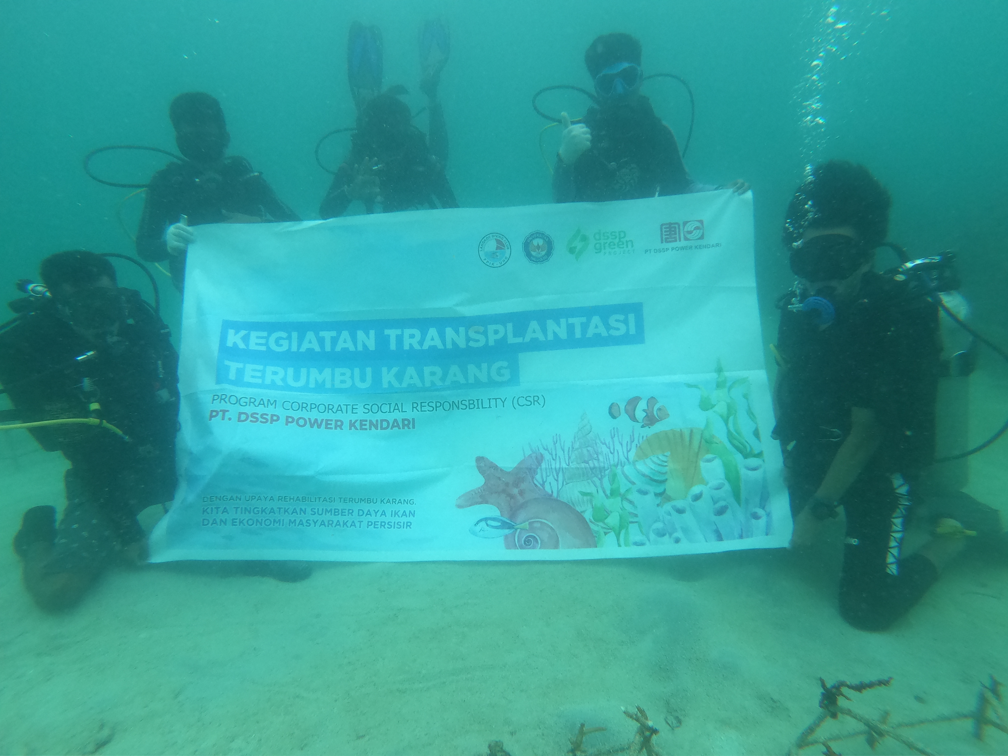 在印尼蘇拉威西省，大唐電廠發起附近海域“珊瑚礁修復長期生態保護計劃”.jpg