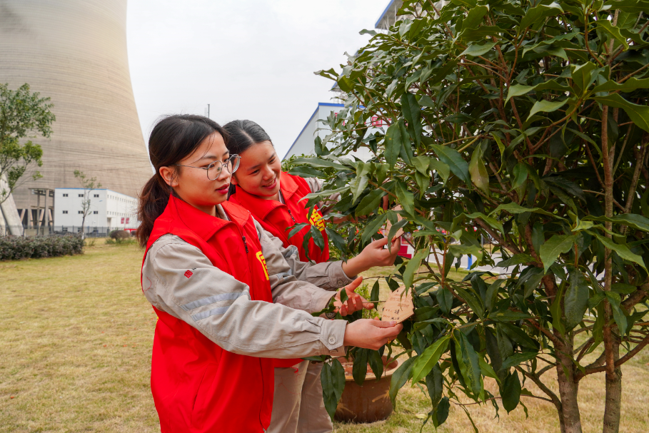 1678153945099085558.png 撫州.png