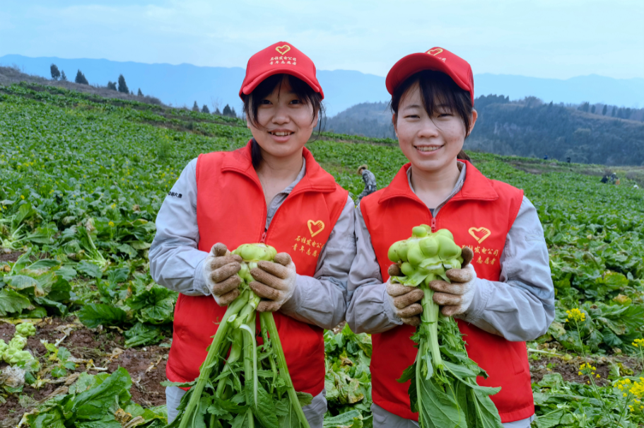 1678153966090086133.png 石柱發電公司 .png