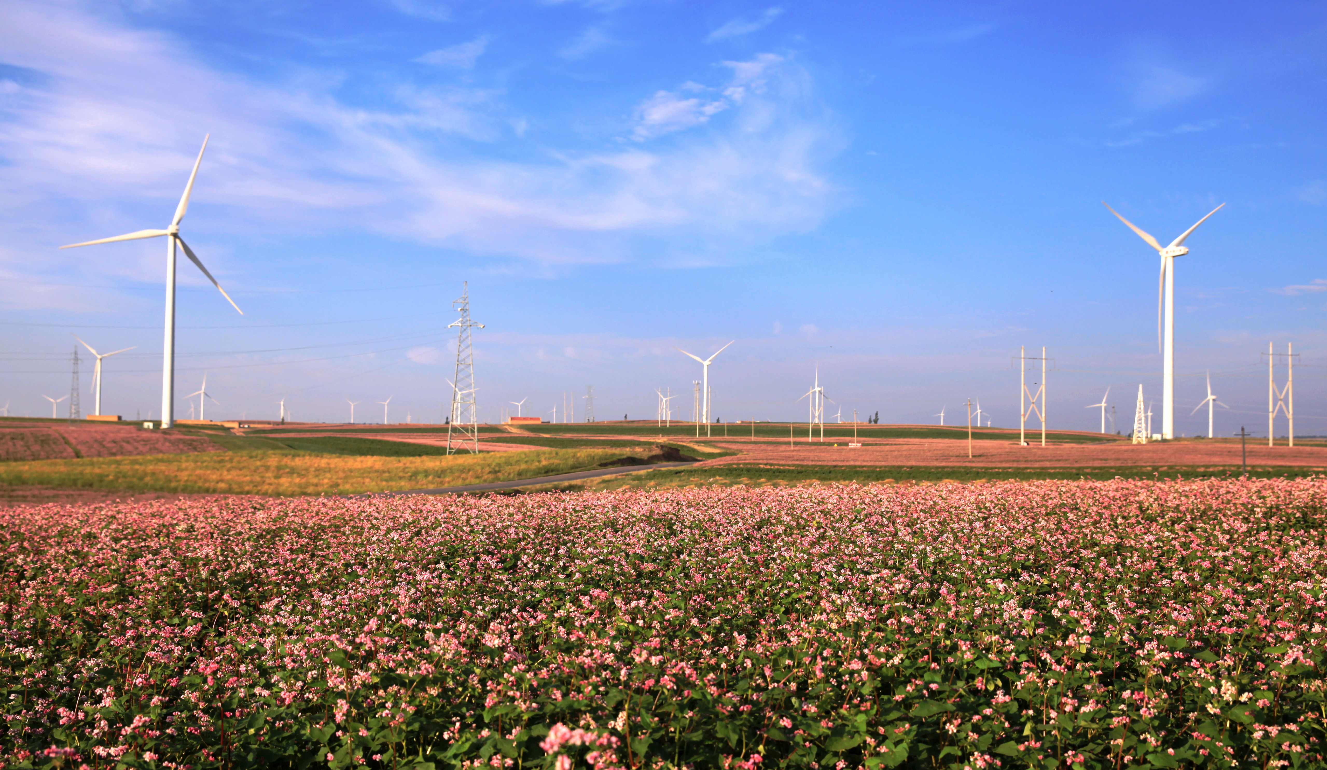 1689572788062054739.jpg 油房莊.jpg