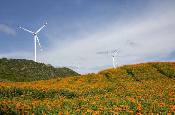 1704242902034064656.png 微信截圖_20240103085331.png