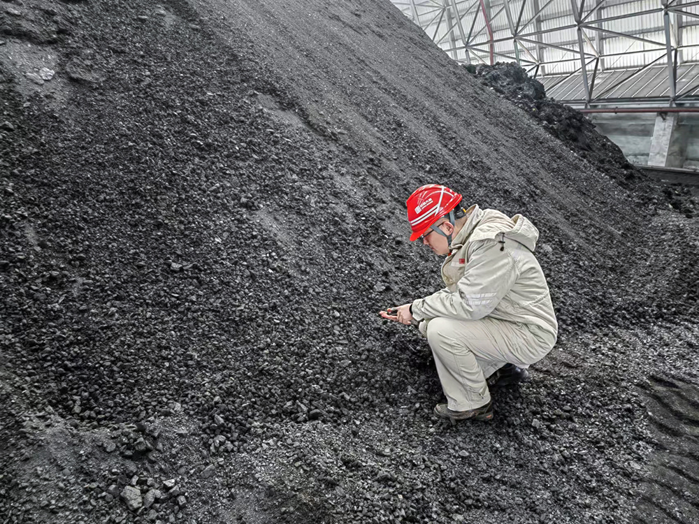 3-大唐東營(yíng)發(fā)電公司職工查看煤炭煤質(zhì)情況a.jpg