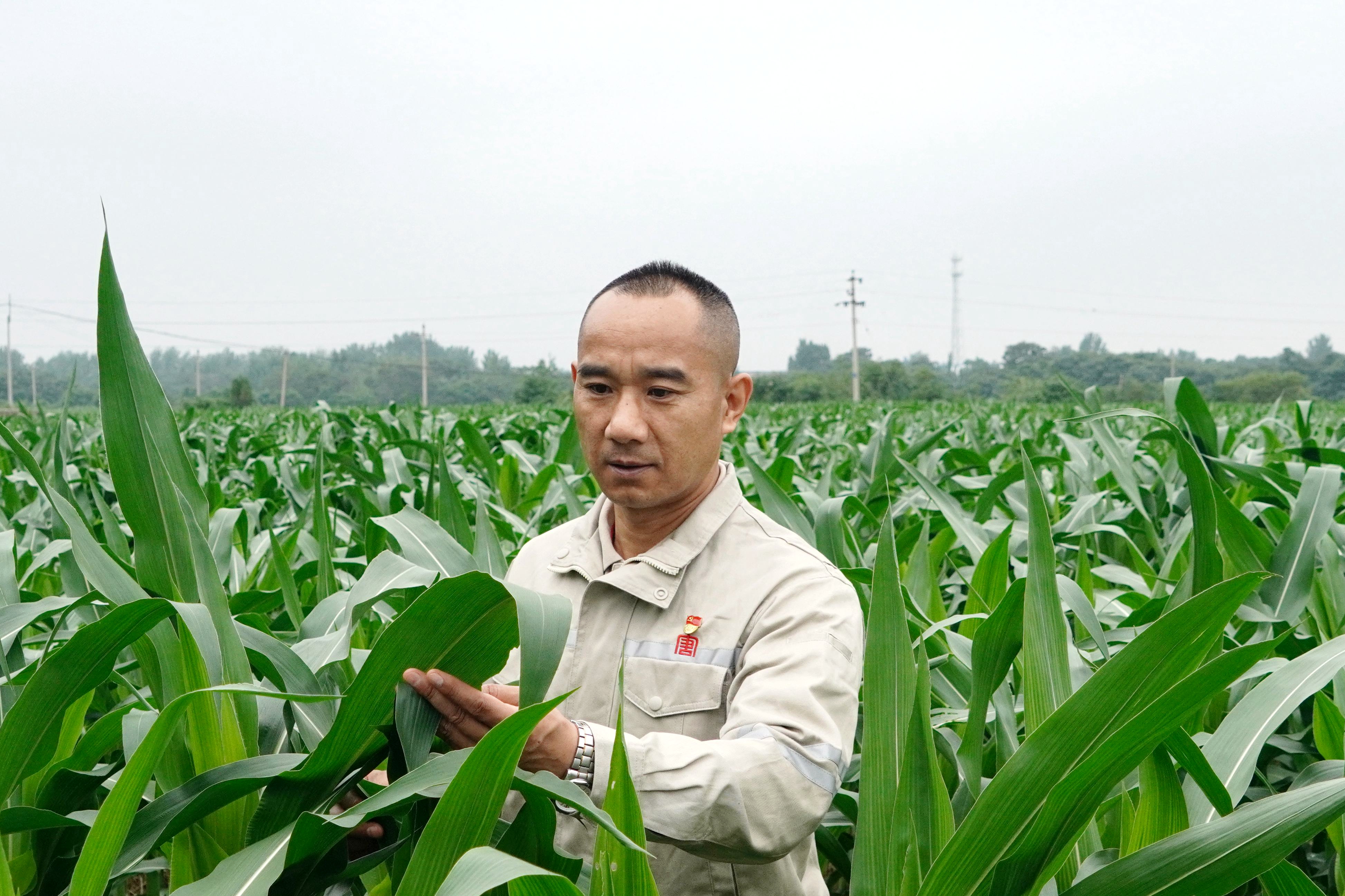 1723530152558050261.jpg 蘇東.jpg