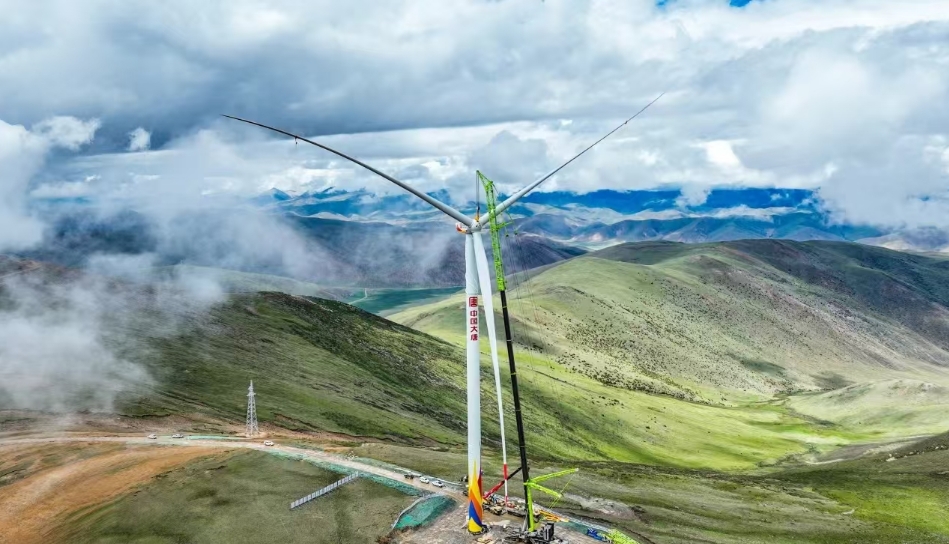 1729663070993045666.jpg 7.jpg